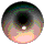 eyeball1.gif (7344 bytes)